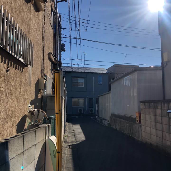 09eb3f19 c4d7 420a 8008 d00aab277c7b 1614439453294