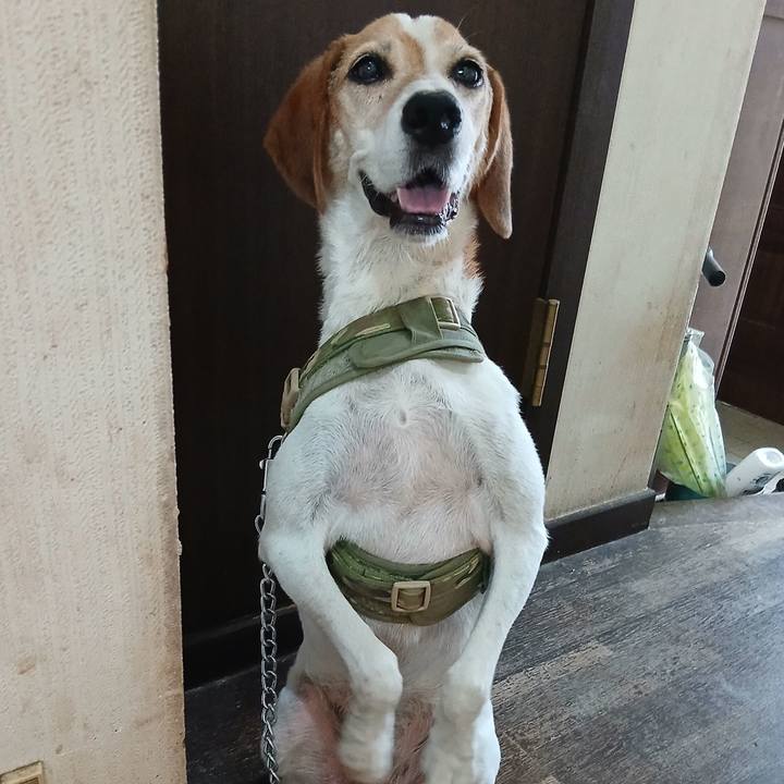 09eb44ef fff7 47ef 8be2 2ea0712ca7e0 1754814045191