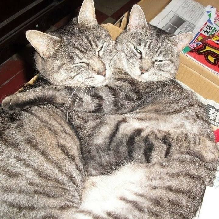 09eb5565 8497 4711 94cd e5b1560002dd 1602013590225