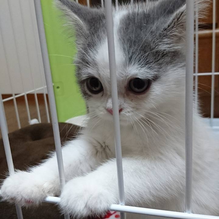 09eb5cac d5db 4a0c 94eb bd176600bfb6 1525645996352