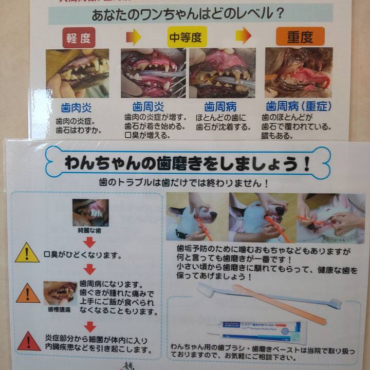 09eba991 be5f 4912 9e6b 609360326495 1602912011239