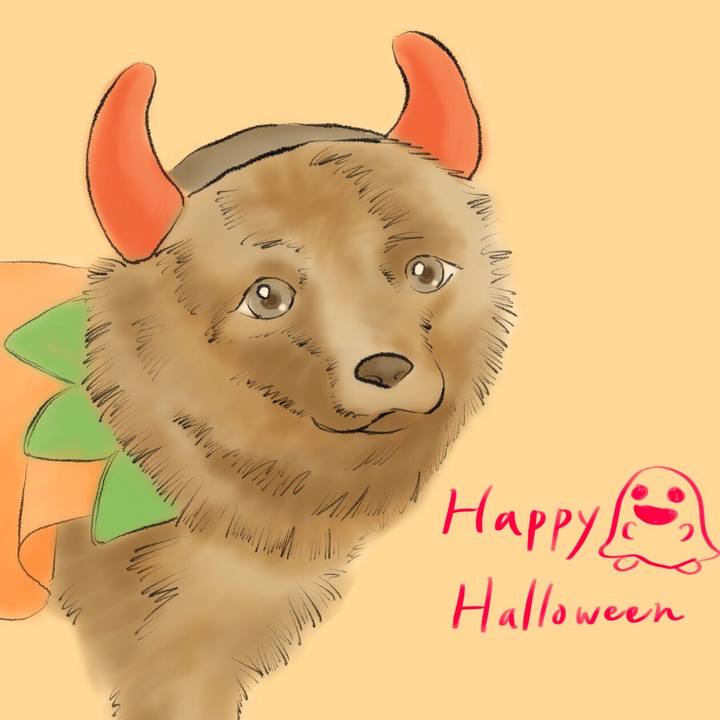 09ebce1c 1296 4897 b4b2 9e733a687ef4 1509795992142