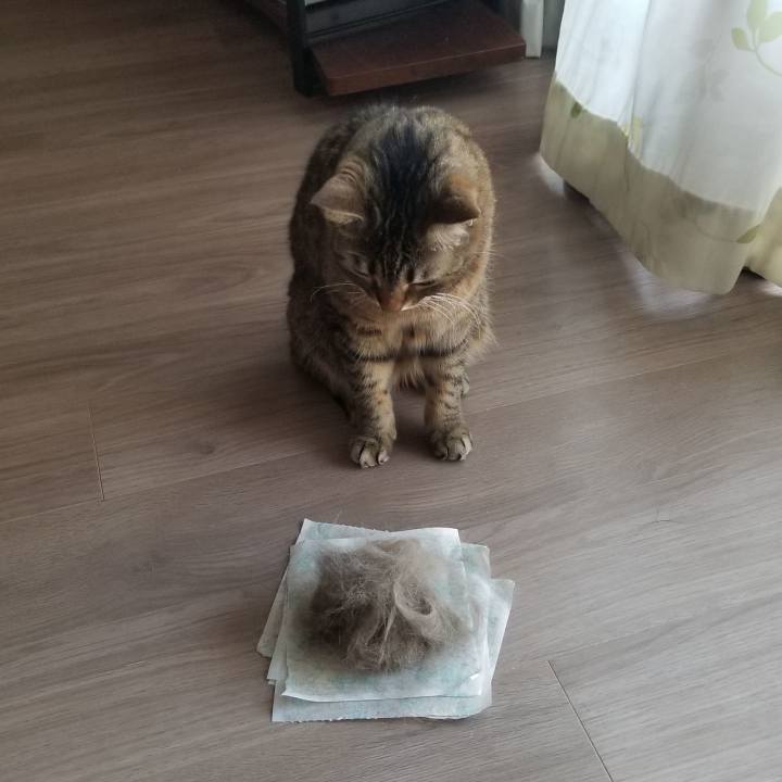 09ebce8d b143 40d2 9bbb 42e0bc580d58 1553382263960