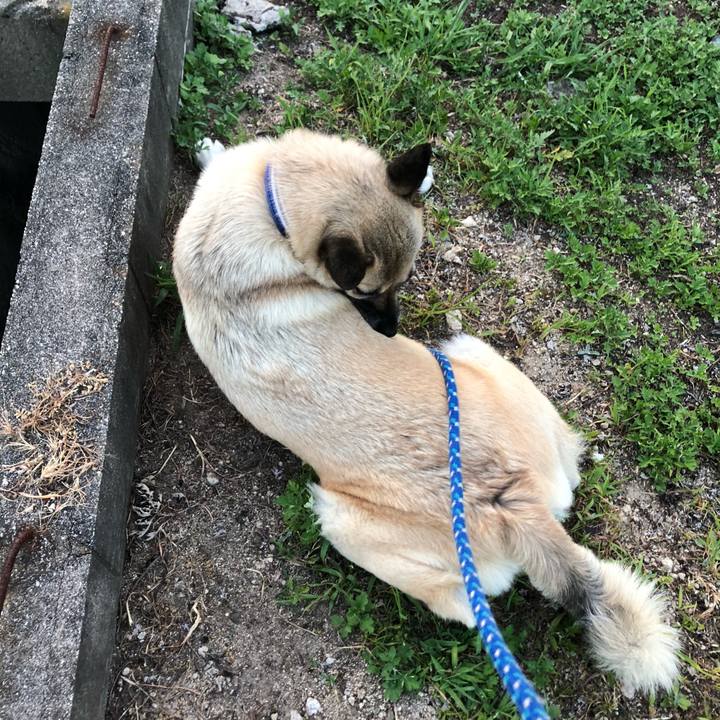 09ebe961 f129 4ba3 910a 6d817d5c5531 1627993585771