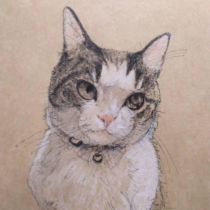 09ebfafd e3bc 4412 9f0d c38c8064bcb9 1535724709099