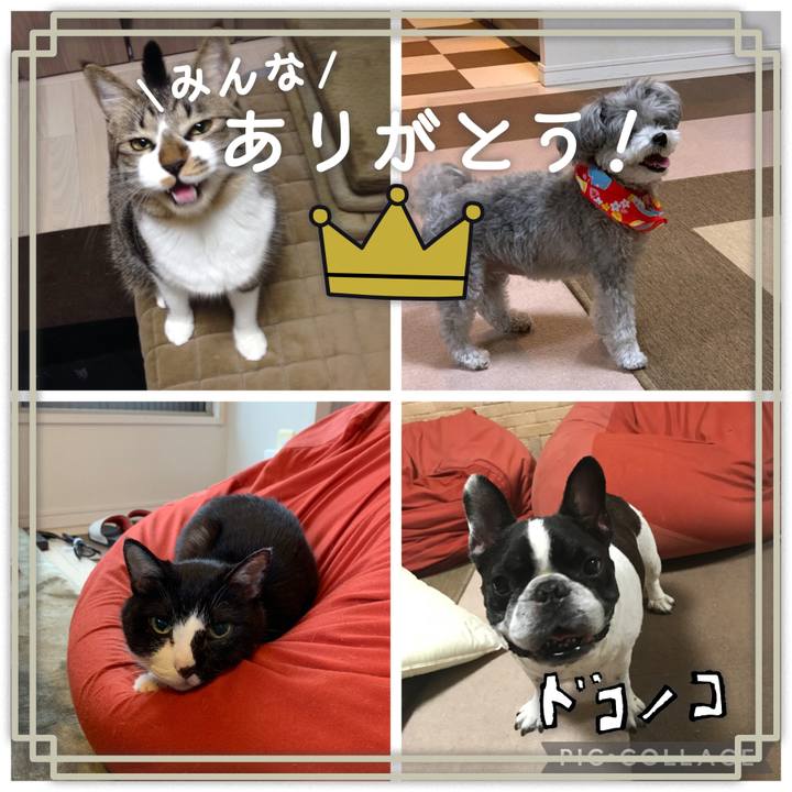 09ec0e7c bf3e 43c5 b6ad 569386cedeac 1622855497296