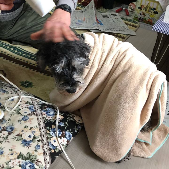 09ec1842 842d 4c14 9392 a812a7d25db6 1645341332116