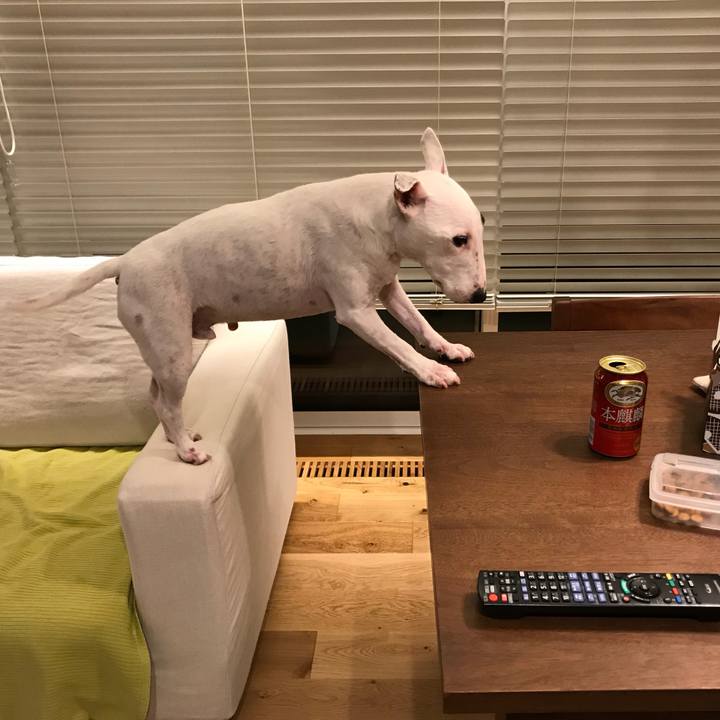 09ec1da9 cf19 4f28 9ed3 033c26b8694c 1573121759333