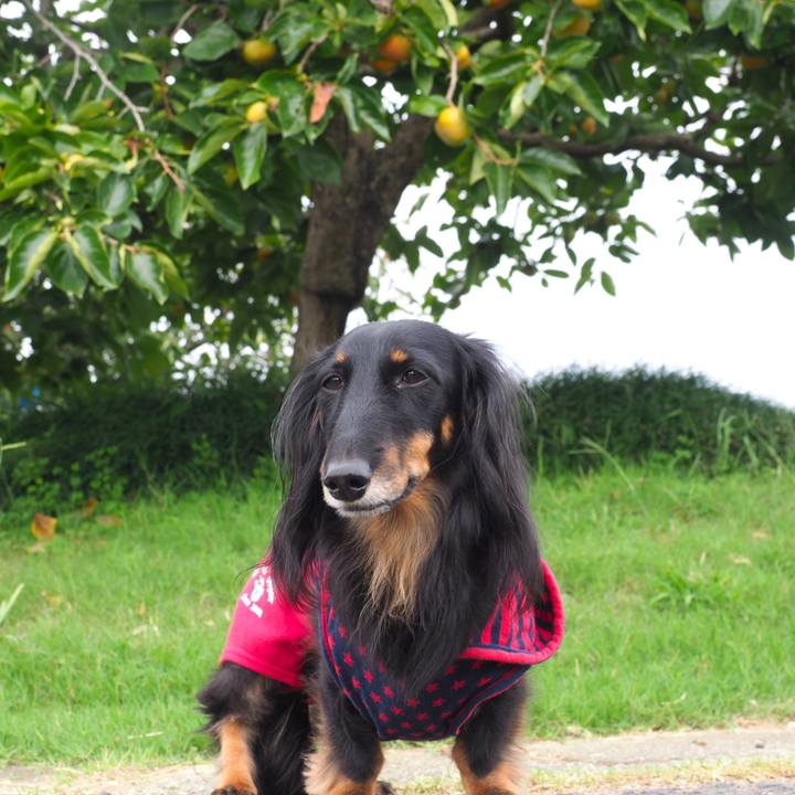 09ec64cd 22b1 42af a0f9 4360f8804a8d 1665031666495