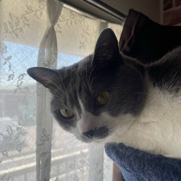 09ec67ab 0a52 4390 81bf d2582444dba3 1685843181481