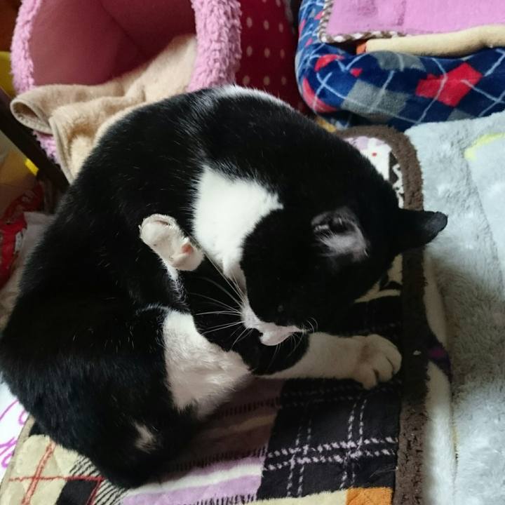 09eca69a 8828 4226 9c1f 5632b6e5b10e 1511182286382