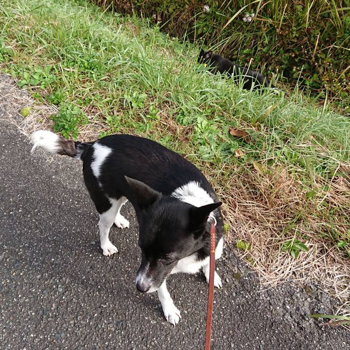 09ecb23b 9e38 427c afd2 2e1cd642c9f6 1540644526958