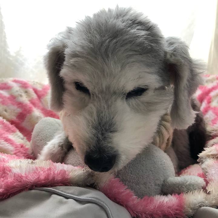 09ecc12f 907f 4be2 bf67 4691778a5380 1667604463922