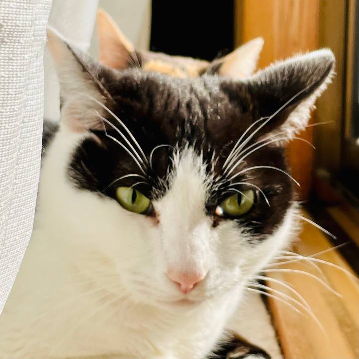 09ecc133 9602 46b8 baf0 db893ec8874b 1614045724307