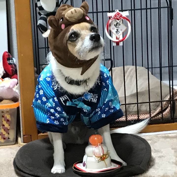 09ecc707 89a4 4760 ac44 4ad8a44e1435 1546269489296