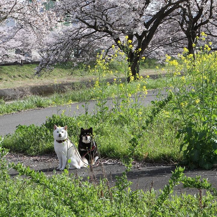 09ece962 1f5b 4f7b a07a 05120a7b4516 1617204996282