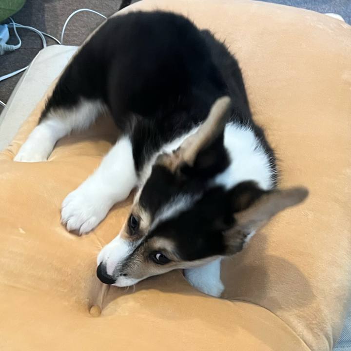 09ed2a1d 70ab 40cf 97cd 607d545ea234 1770431179926