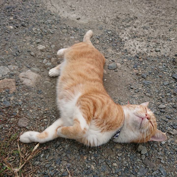 09ed5e70 2b21 4362 b920 49e473a014a4 1569721831728