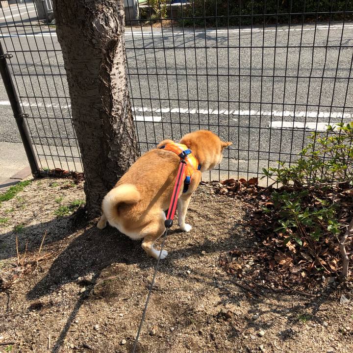 09ed61c5 54d6 4fa3 90ab 86b581b23959 1550831816678