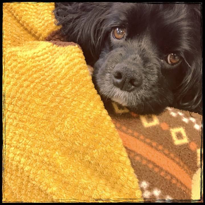 09eda663 3f19 4924 955f 2bcbea28297e 1520598419004