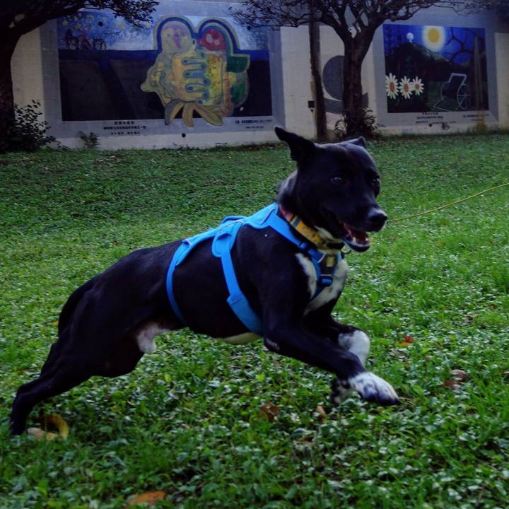 09edb334 b50a 4800 ba48 f5b3bdcb9aca 1604105808774