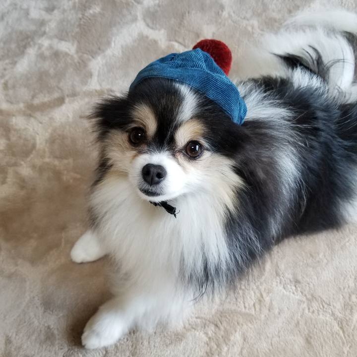 09eeb983 65d8 4e3e 892e be8d4d25c021 1604795817310