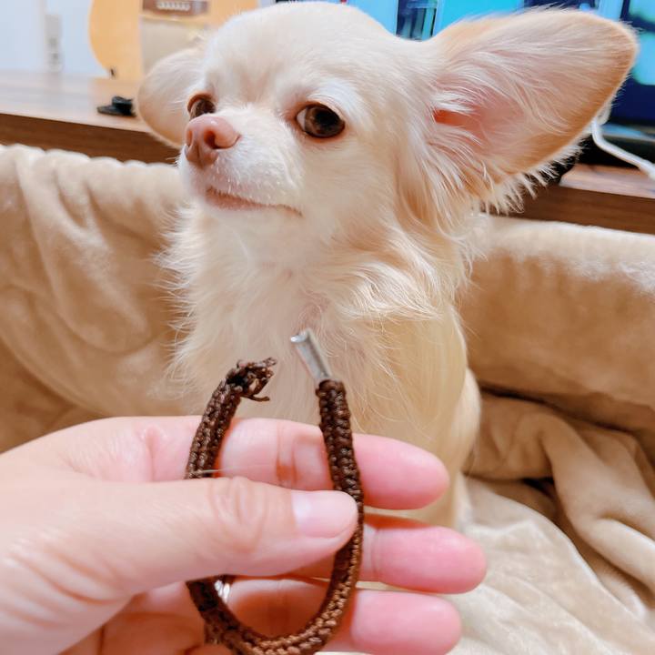 09eed88c 3688 4de7 a3cc cf24f5fea65e 1669365344434