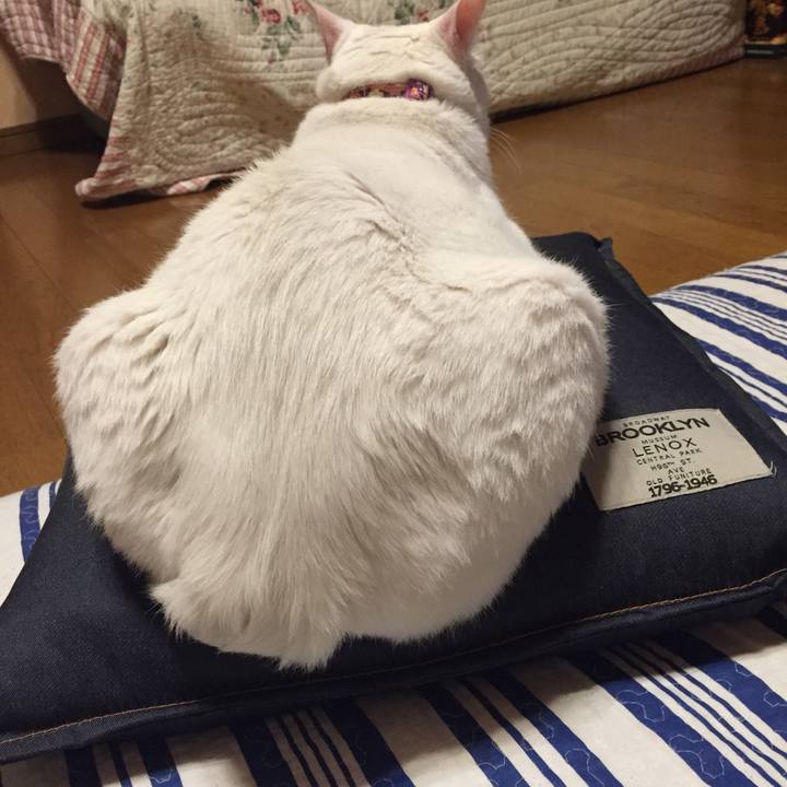 09eeecb8 37a2 4c86 97fe 4a6efa47fd2e 1559989302239