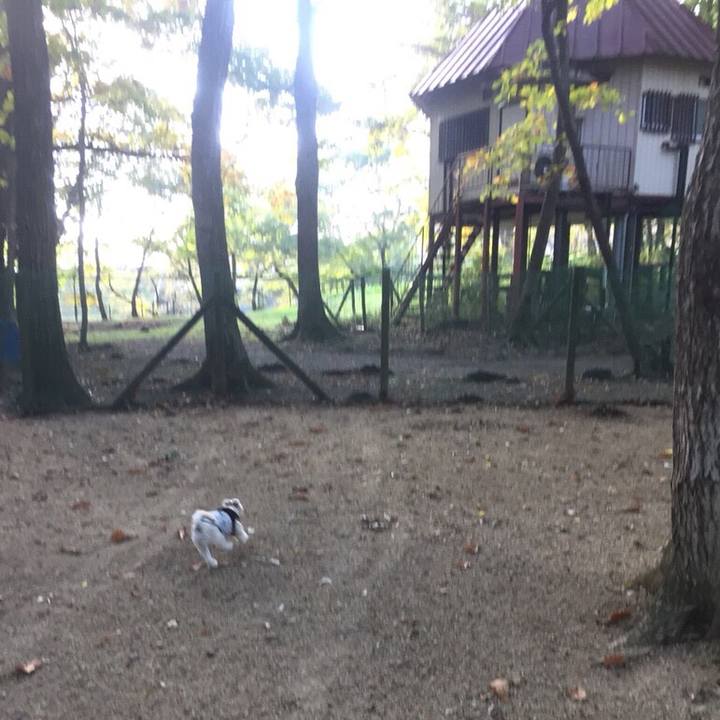 09ef29c9 728f 429e a115 990ee3dd6514 1509451579471