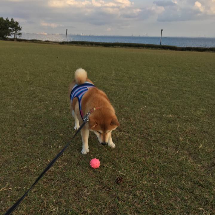 09ef868e d789 4315 9342 b1daa1a5232a 1539074232386