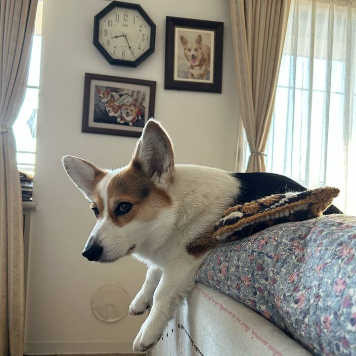 09efc815 afcc 4d7a b416 4488fa315a1f 1771382913283