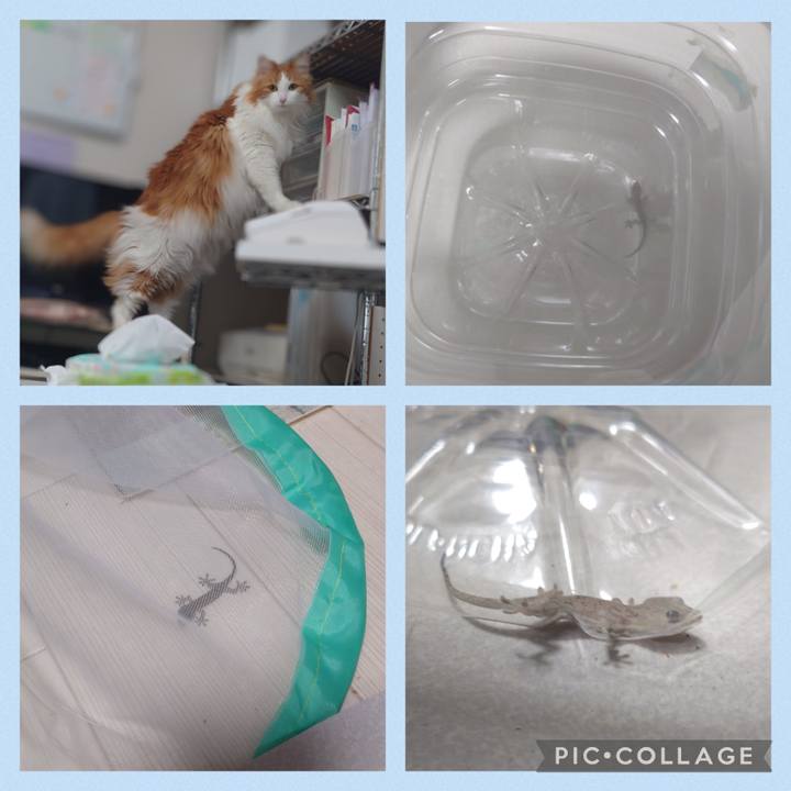 09efdc98 4d7b 4f65 ae32 ef27a0c9e708 1681351083214