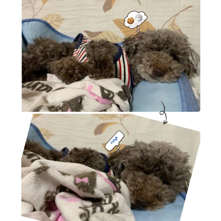 09efea91 b530 41d1 b24b 11cf15180497 1590232722238