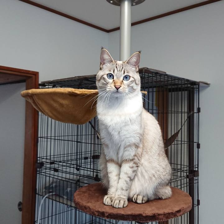 09f00145 2b08 4c53 84ce 455ab7d6b7ee 1513899836065