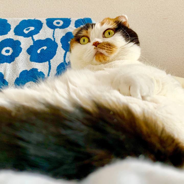 09f00fd5 9086 44b6 98c5 33679f700b80 1570330708336