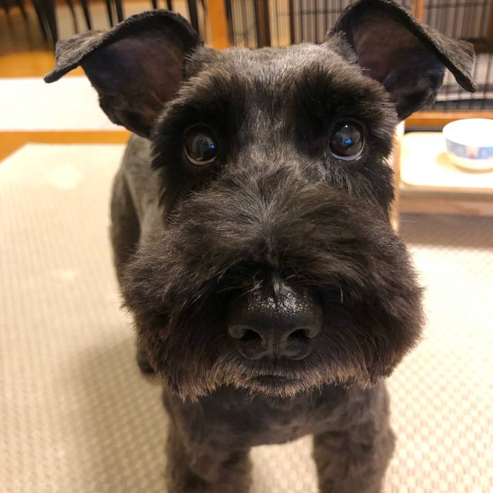 09f02ec7 5643 41c3 92c2 41a3e5e6dfaa 1698573798673