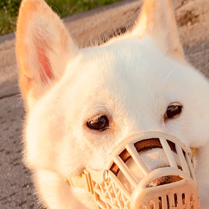 09f076ee d0b3 41cc bf0b fe7b0cd80530 1567460047229