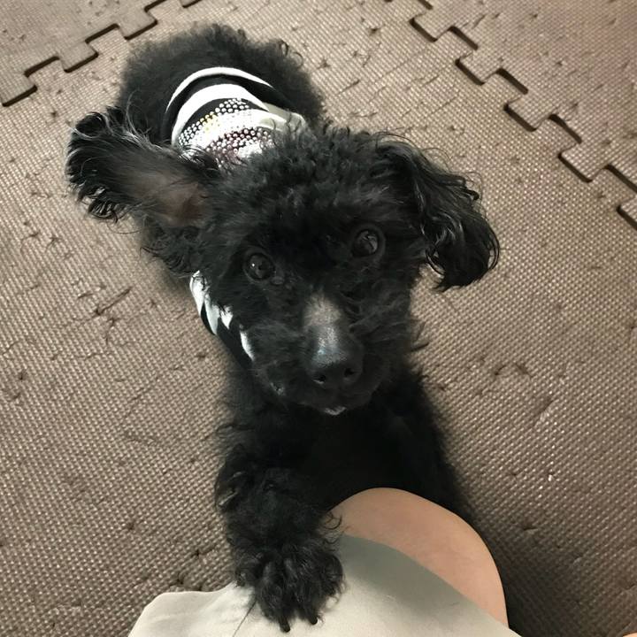 09f07a6b 468a 4294 824a 42852da87aa9 1524437250656