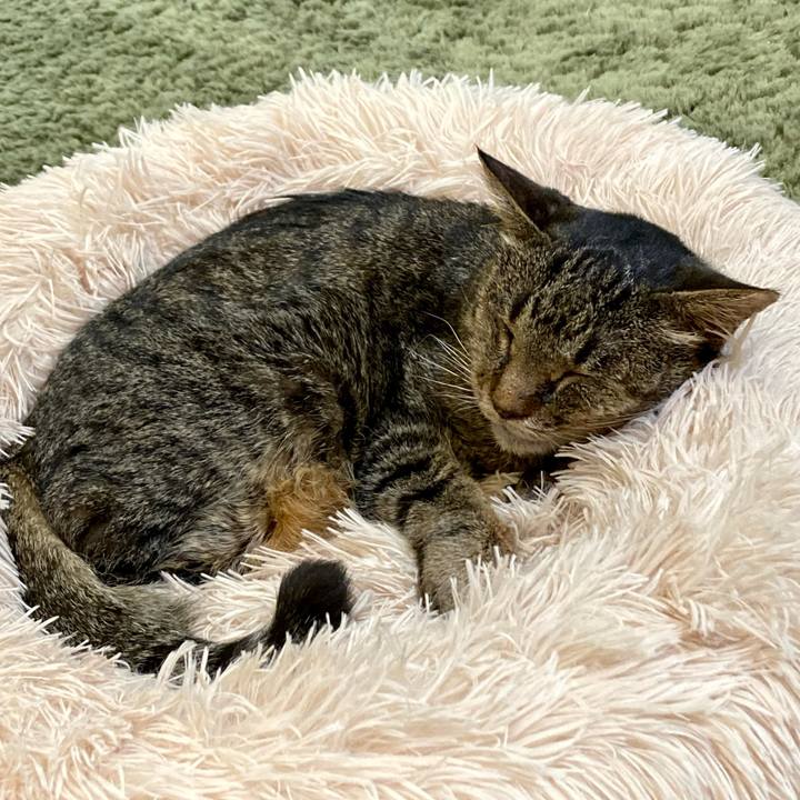 09f07d19 35a8 423a 89cb a6a774122fcf 1686396066775