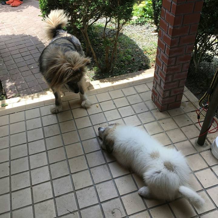 09f07db1 3536 459e b9aa 283d1cc27851 1529206210840