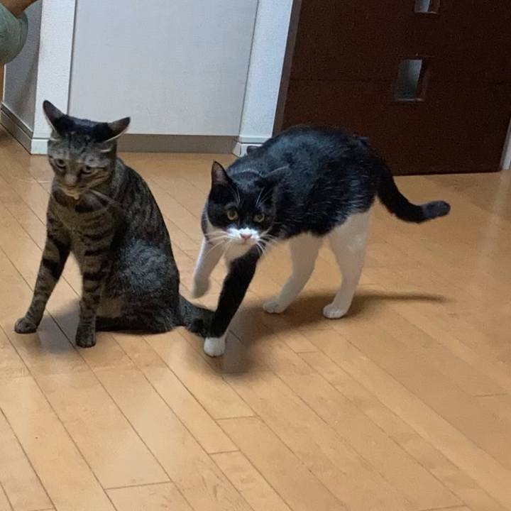 09f0b5f8 5142 4575 b984 7bd4e9ec3b10 1629174056493