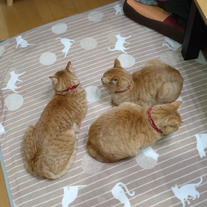 09f16c75 f17c 4894 aba7 e2837be724f5 1768125842537