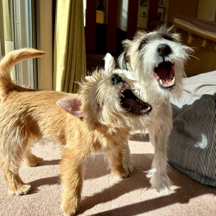 09f16d59 98d7 47ab a51c 31684e2f3fc7 1706366366921