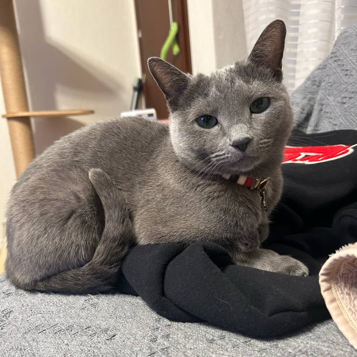 09f18b0c 1ce2 42b2 948f 8a46277dd35f 1738632109490