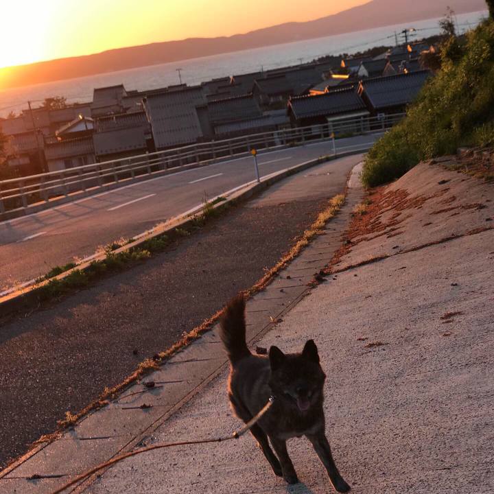 09f1ad96 65c8 43a8 ad84 42afe7c8082e 1557224683075