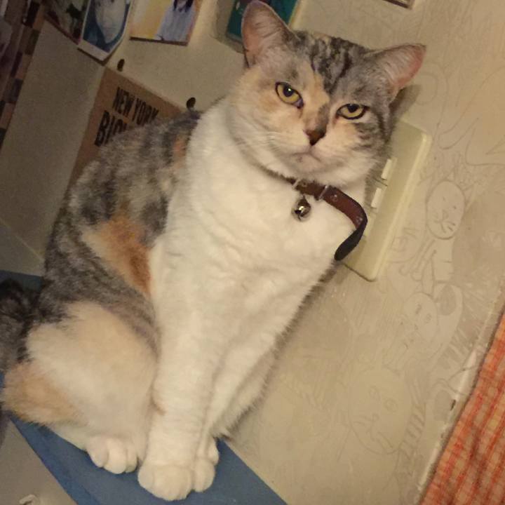 09f1e923 e3a1 41ba ac03 b3eb3e032eef 1558788339451