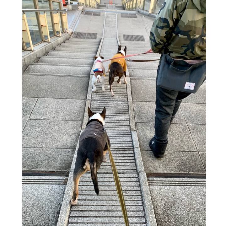 09f21469 2463 458c b621 4bcdeeae4a54 1608382374362