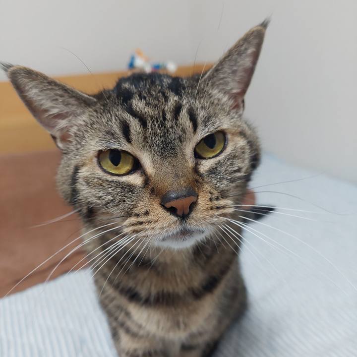 09f256c3 0ecd 4292 a644 8753ca3aa624 1634852400238