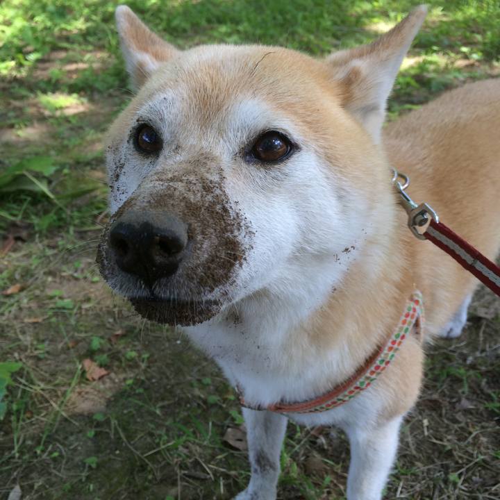 09f25c42 02aa 4d45 838e 11aaefb45c16 1763963894242