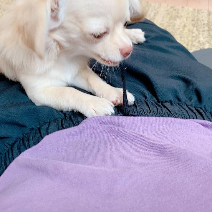 09f27252 da68 4054 8ee9 82565ffcd452 1597301935248